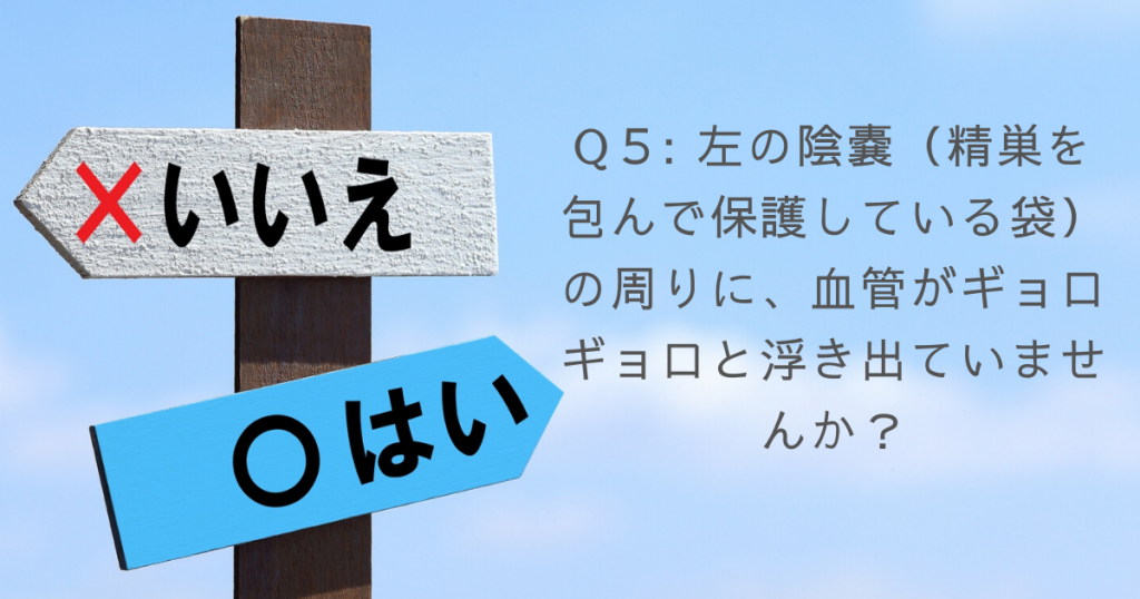 男性不妊チェックテスト5:左の陰嚢(精巣を包んで保護している袋)の周りに、血管がギョロギョロと浮き出ていませんか?