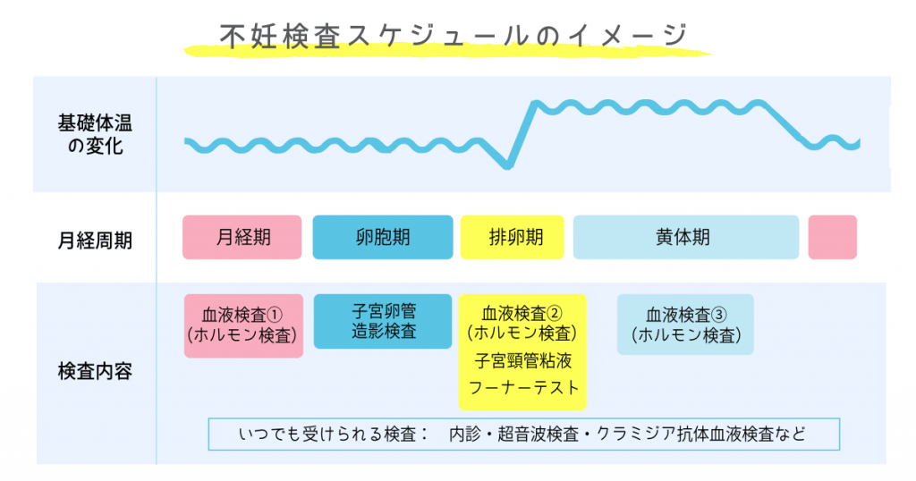 女性の不妊検査 痛い 費用は 検査スケジュールは Sugucare スグケア